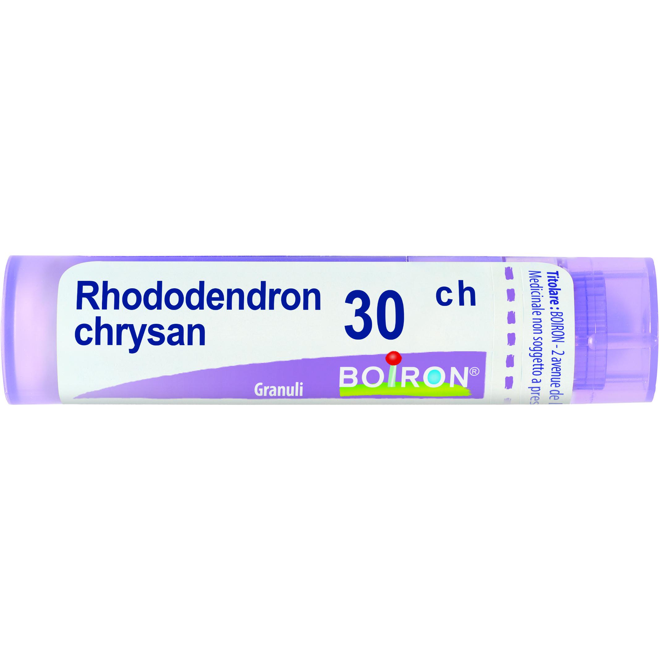 Boiron Rhododendron Chrysanthemum 30Ch Granules, Tubo 4g