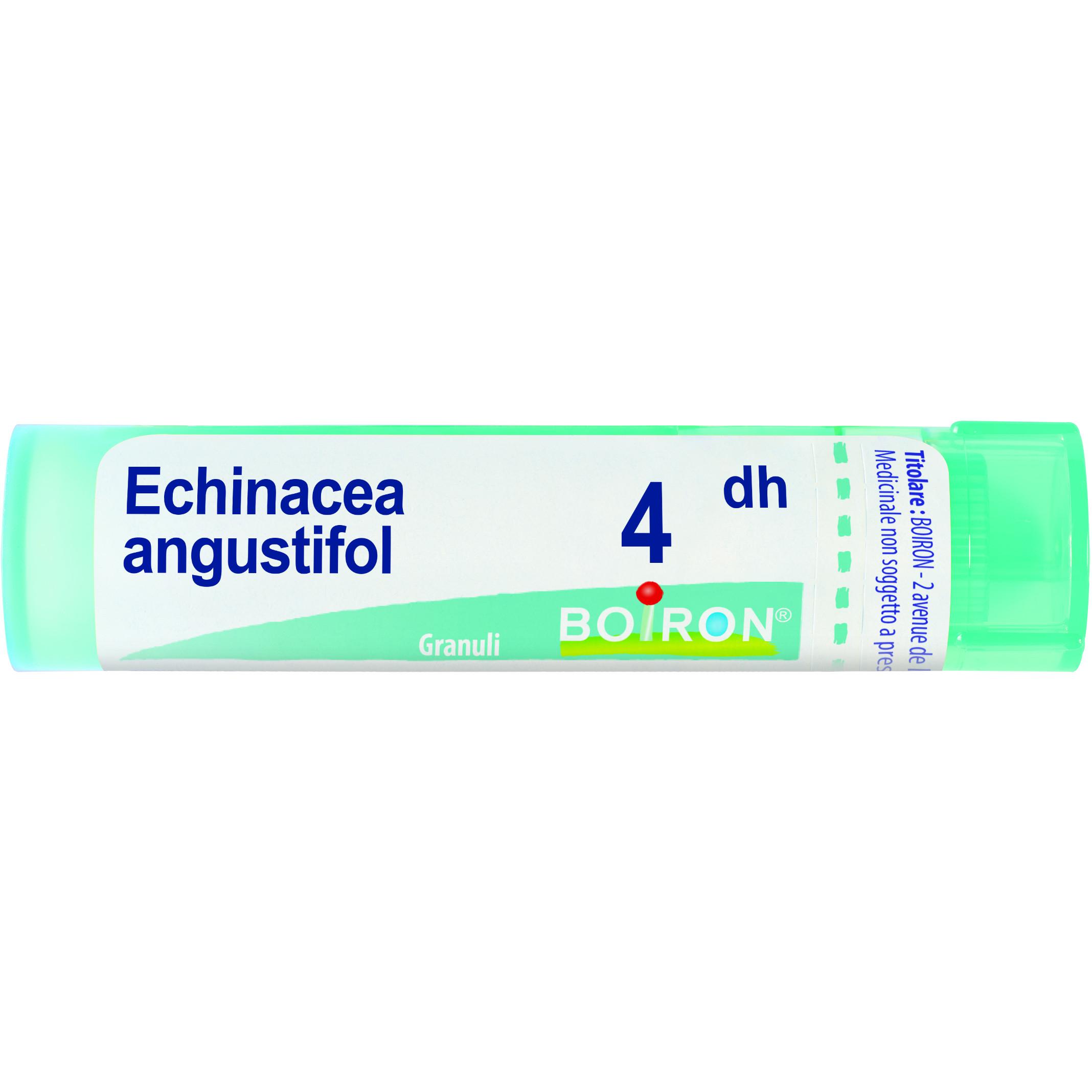 Boiron Echinacea Angustifolia 04Dh - Granuli Omeopatici 4g