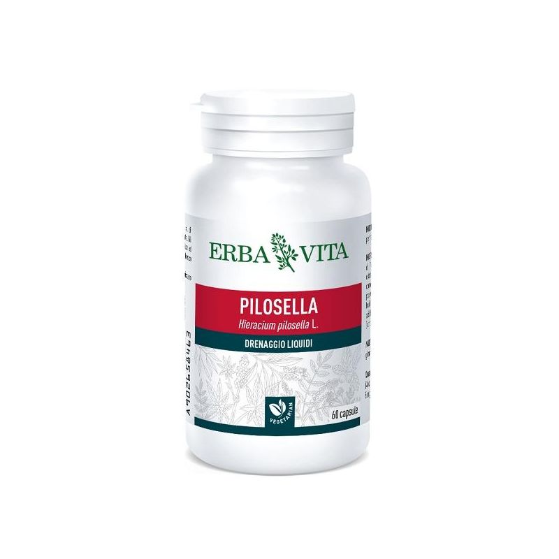 PILOSELLA 60CPS 400MG