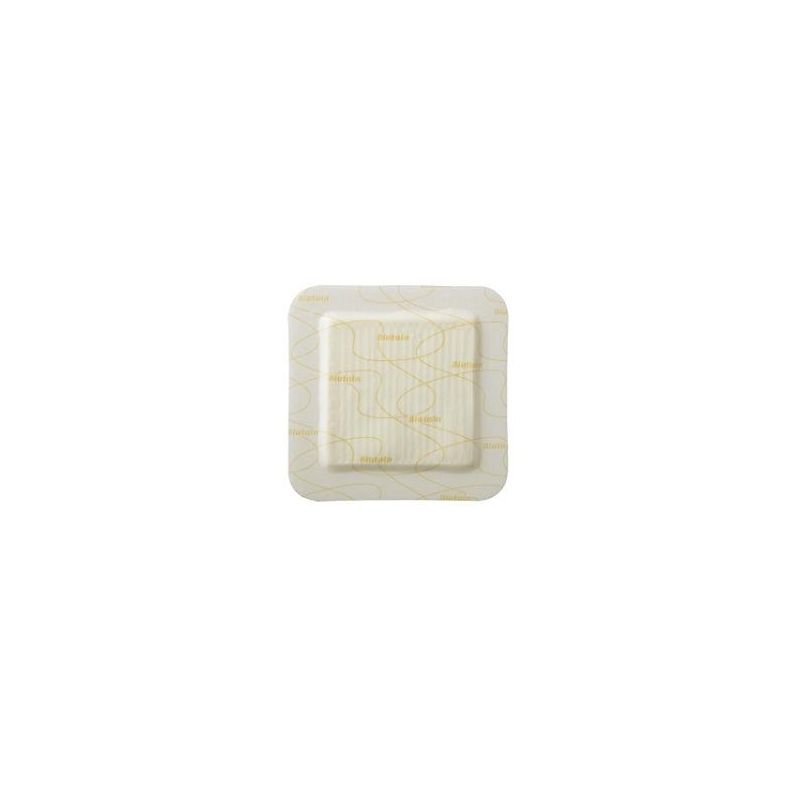 Biatain Sil Ades 10x10cm 10pz