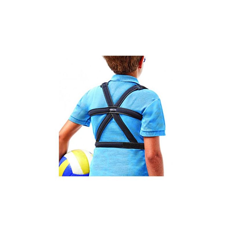 Gibaud Junior Sostegno Dorso 0