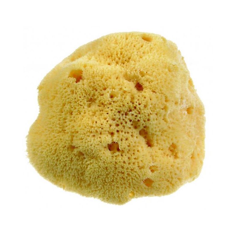 Beautytime Spugna Naturale Dama M