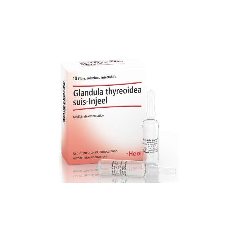 Guna Heel Glandula Thyroidea Suis Injeel - 10 Fiale