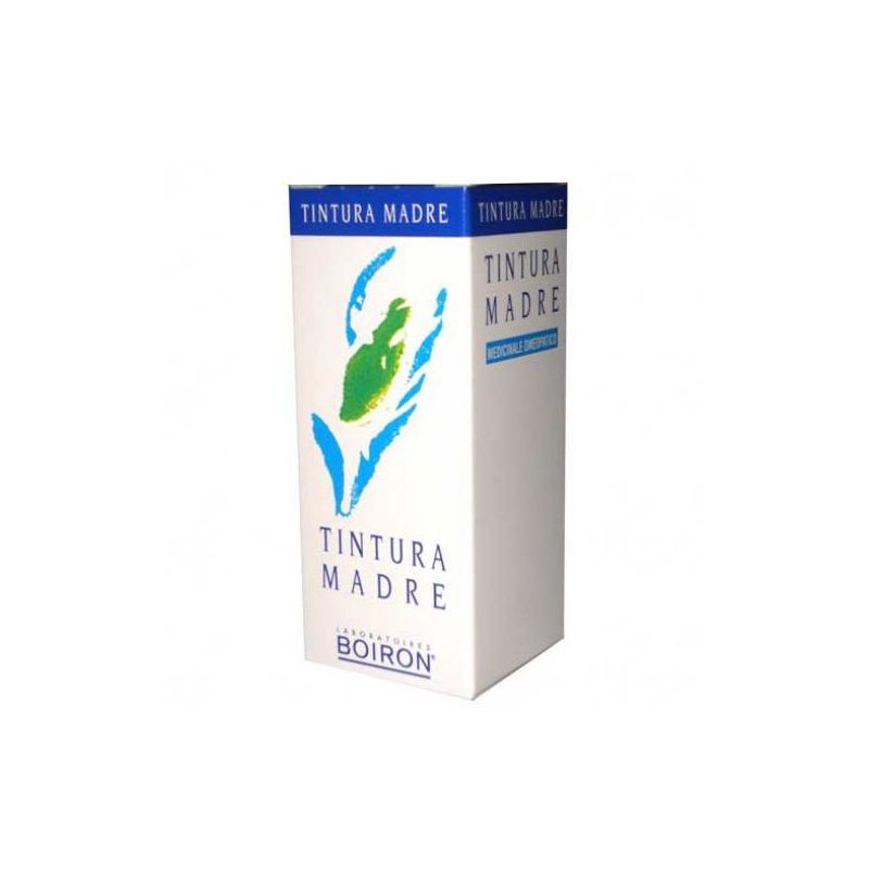 Betula Alba Tintura Madre 60ml