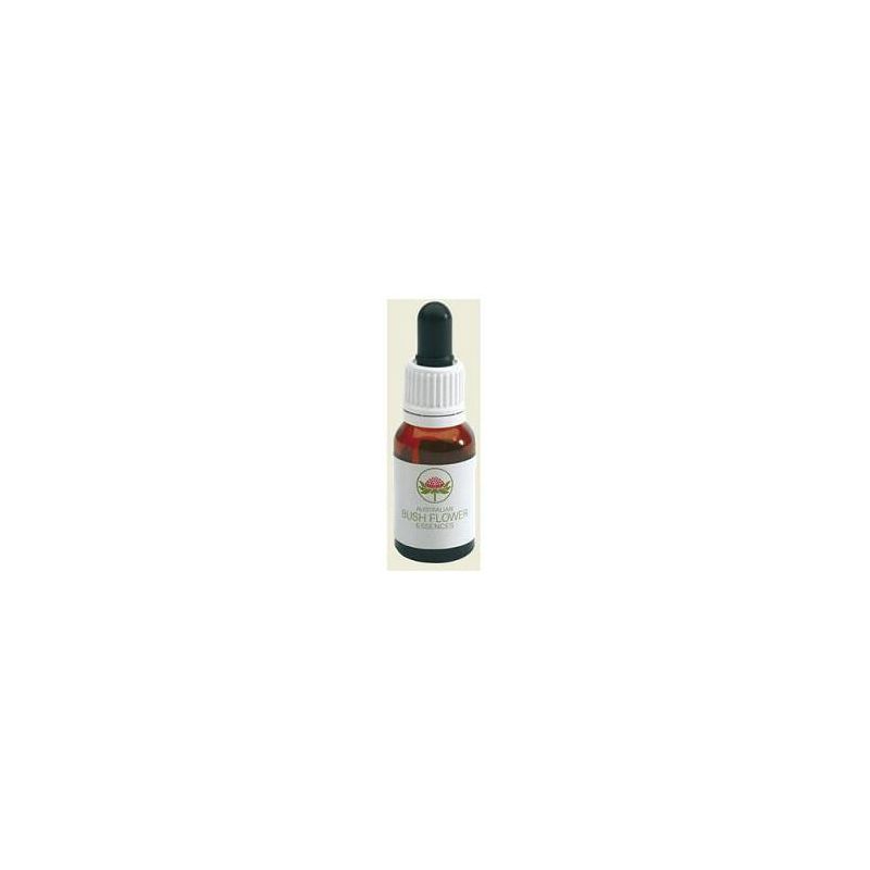 Olio Essenziale Australian Red Suva Frangipani 15ml