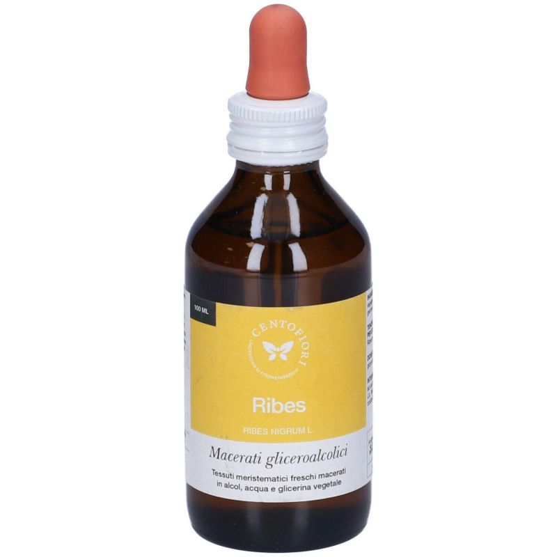 Gemme di Ribes 100ml - Concentrato di Ribes Nero