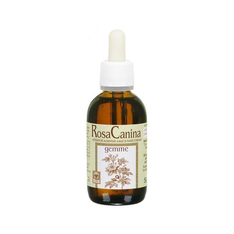 Essenza di Rosa Canina Gemme Senza Alcool 50ml