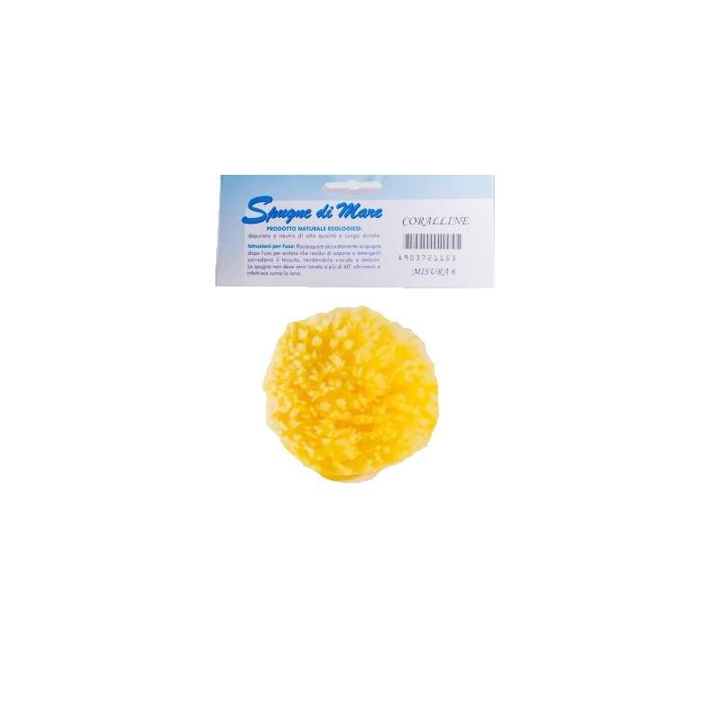 Spugna Marina Naturale di Dimensione Media - Confezione Singola