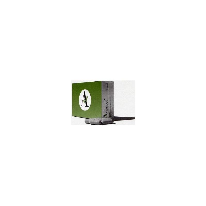 Angelcol Digestive Health Support - 36 Capsule