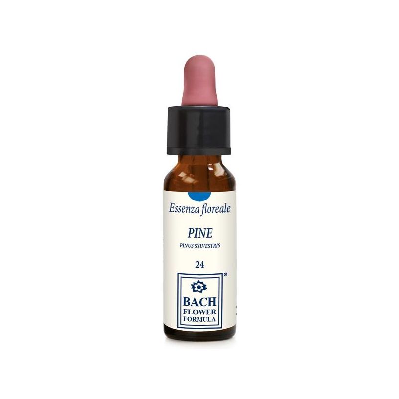 Essenza Floreale di Pino Erba Vita - 10ml