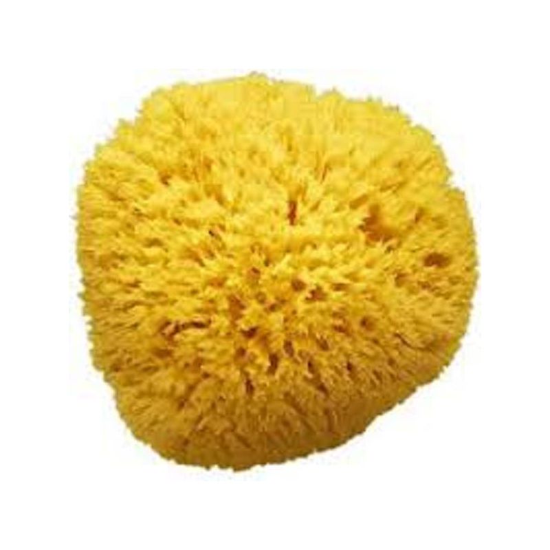 Amidosan Spugna di Mare Naturale