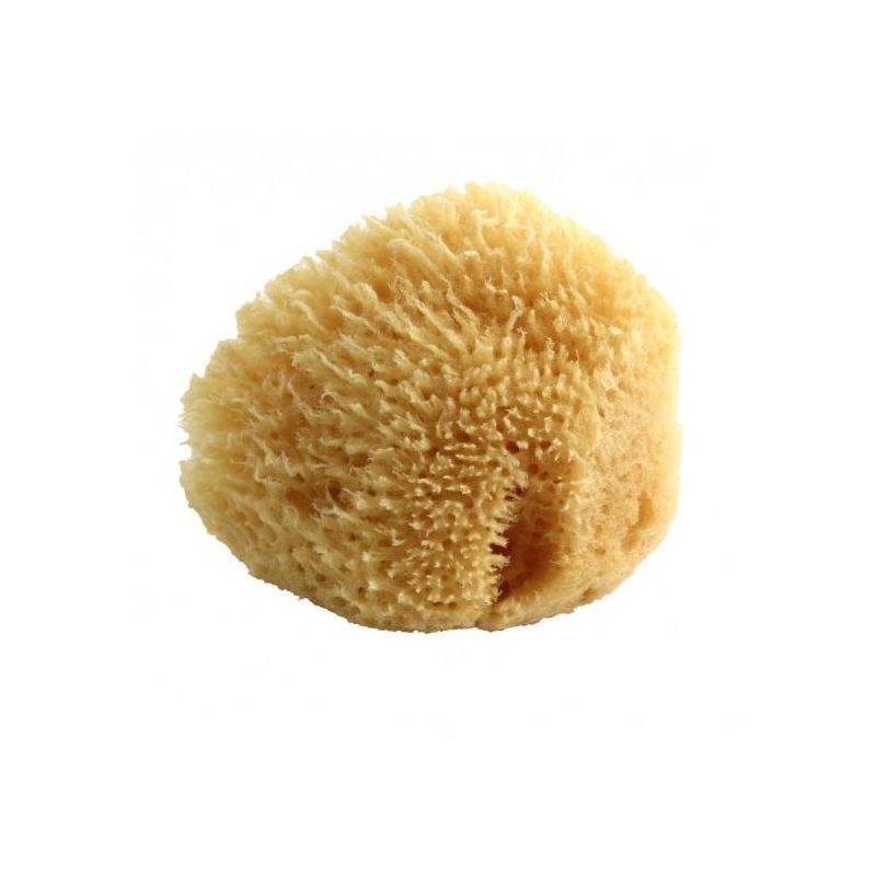 Spugna Naturale di Dimensione Media - 1 Pezzo