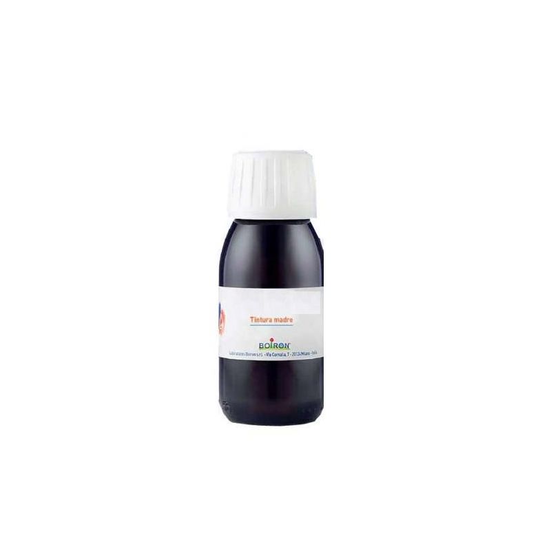 Tintura Madre di Arnica Montana - Flacone da 60ml
