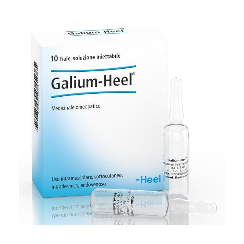 Heel Galium - Fiale da 1,1ml, Pacco da 10