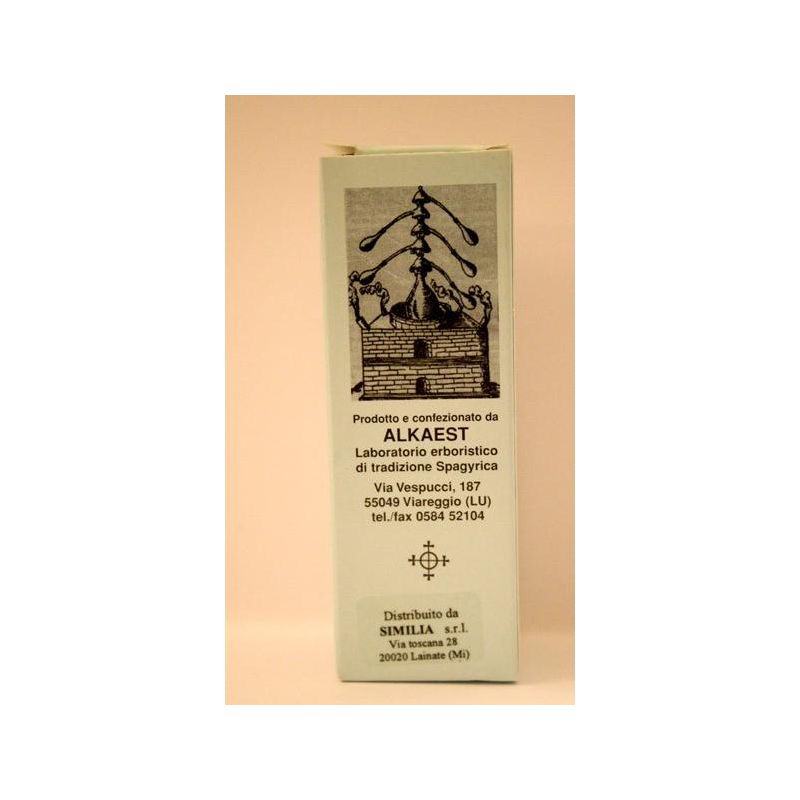 Essenza Pura di Lavanda Quintessenza - Flacone da 10ml