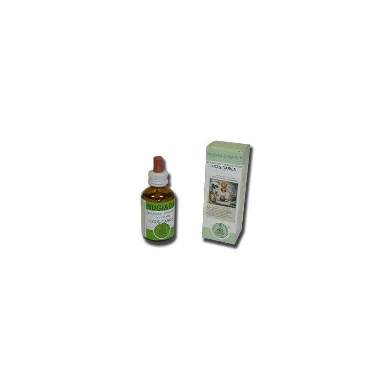 Essenza di Ficus Carica Rugiada - Flacone da 50ml