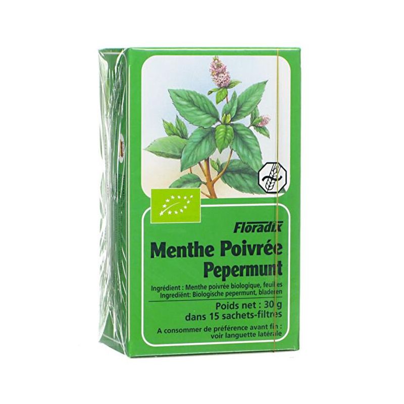 Floradix Bio Infuso di Menta Piperita - 15 Filtri