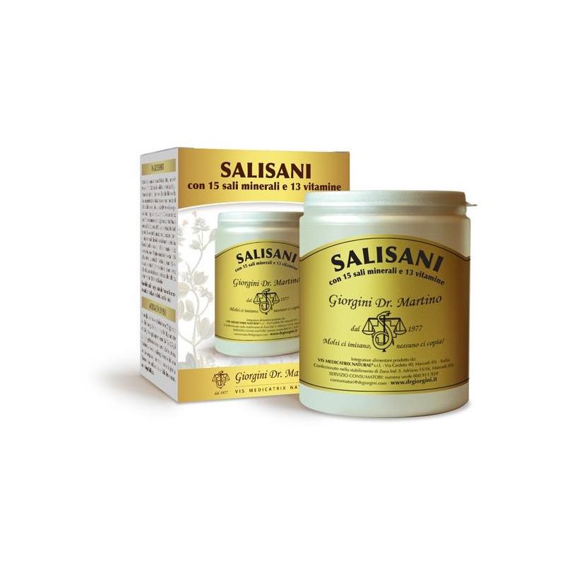 Dr.Giorgini Salisani Vitaminsport Polvere Nutritiva per Energia - 360g