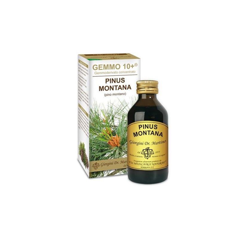 Concentrato Pinus Montana Gemmoderivato 100ml