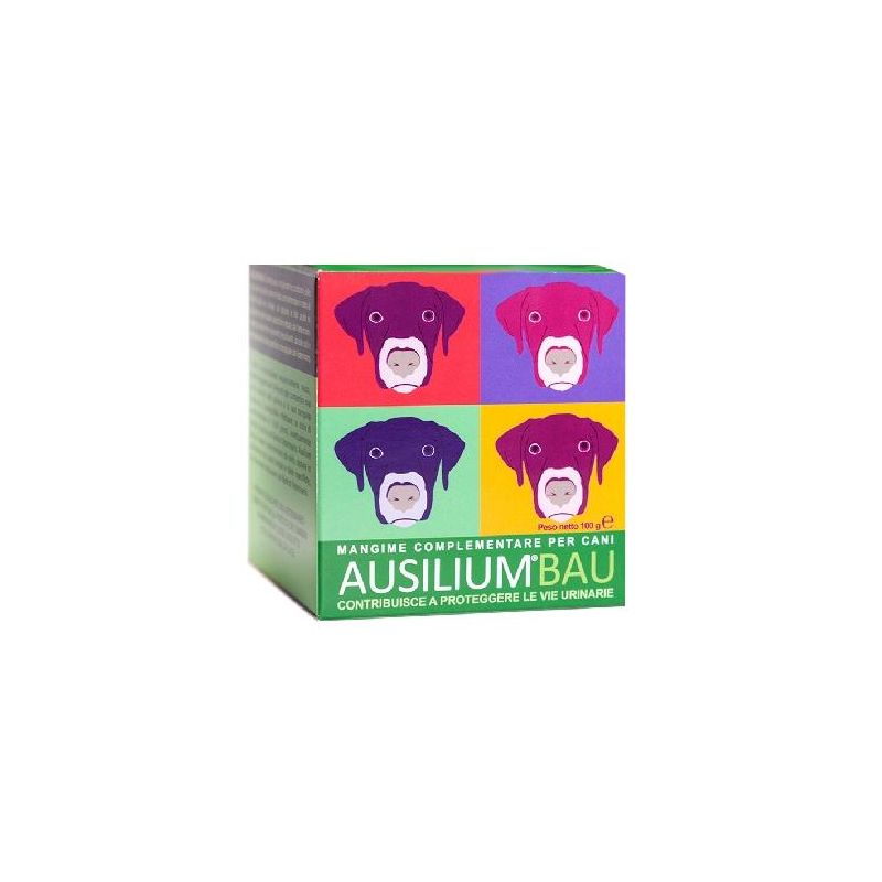 Ausilium Bau Pasta Coadiuvante 100g