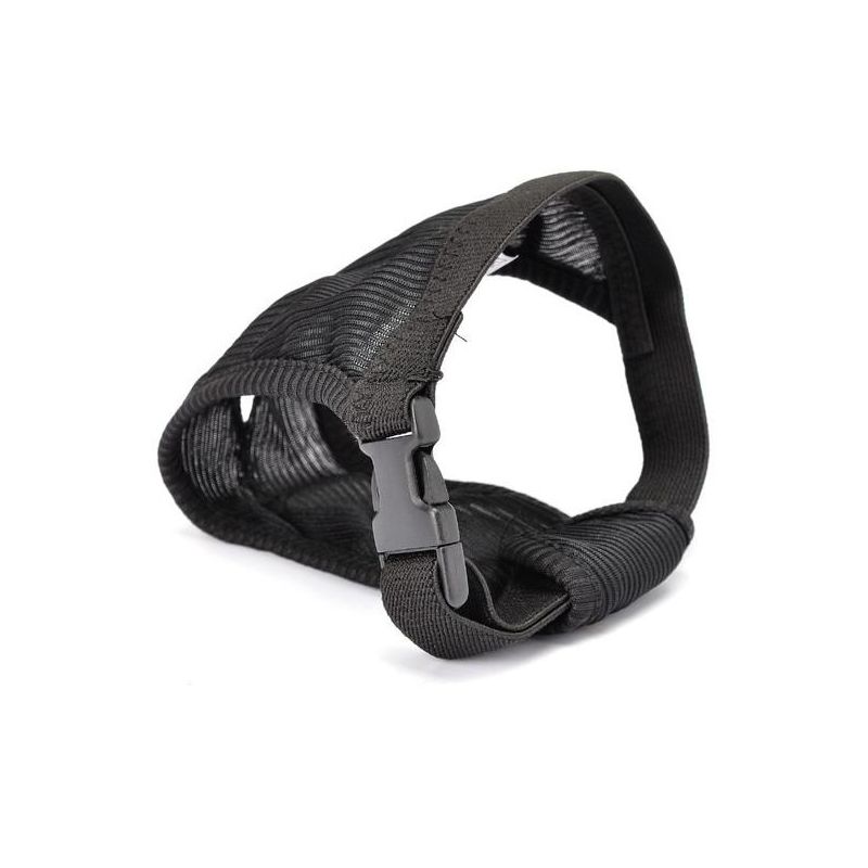 Camon Click e Clean - Mutandina Igienica per Cani, Taglia 2