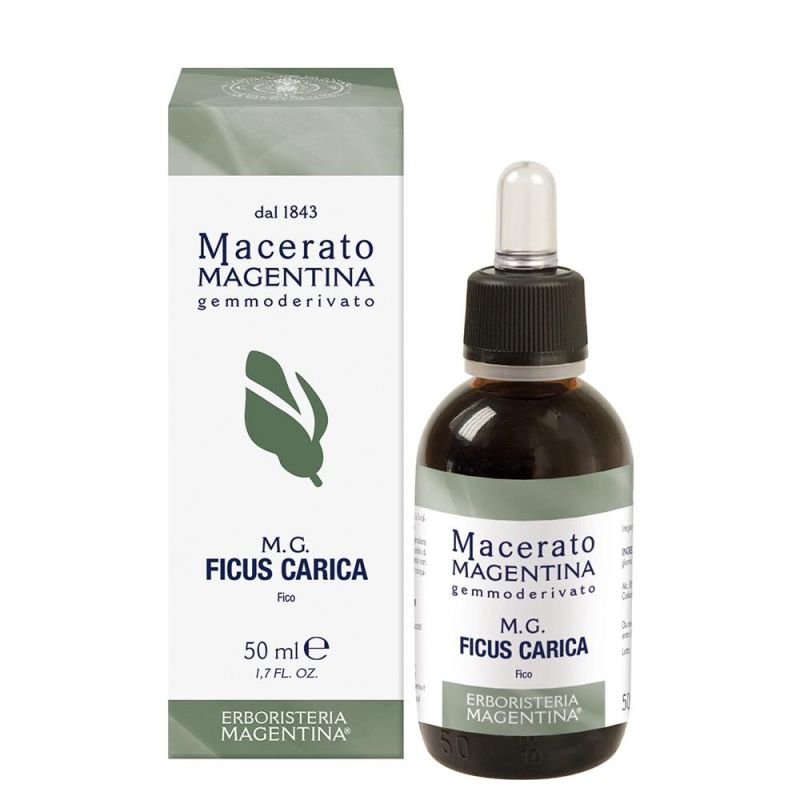 Macerato Magentina di Ficus Carica 50ml - MG