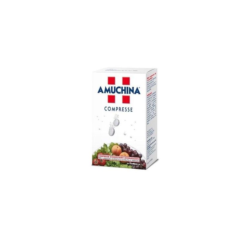Amuchina Compresse Disinfettanti 1g - Confezione da 24 Pezzi