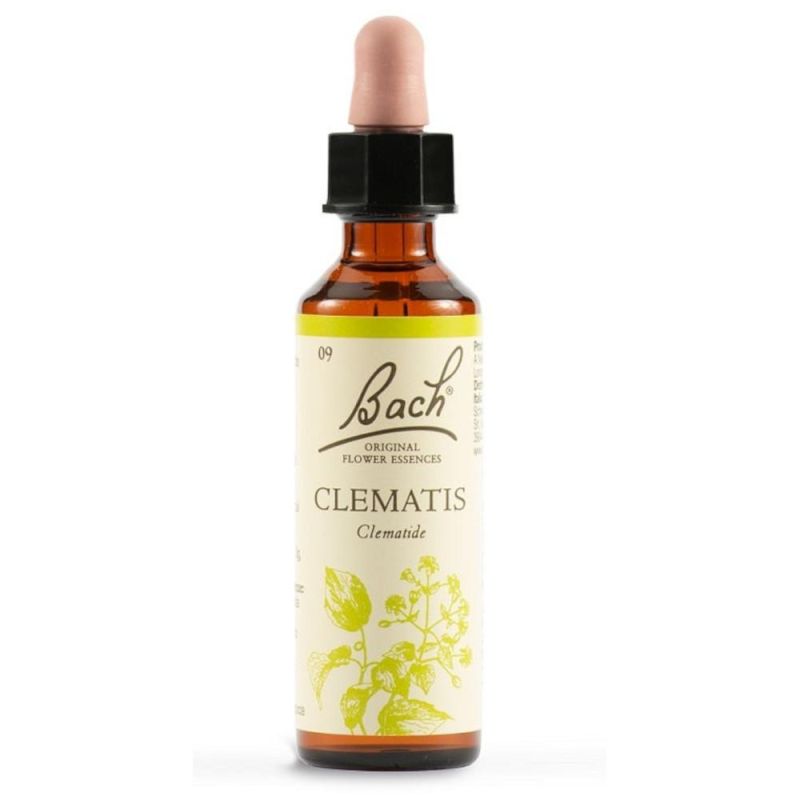 Original Bach Flower Essences Clematis 20ml Bottle