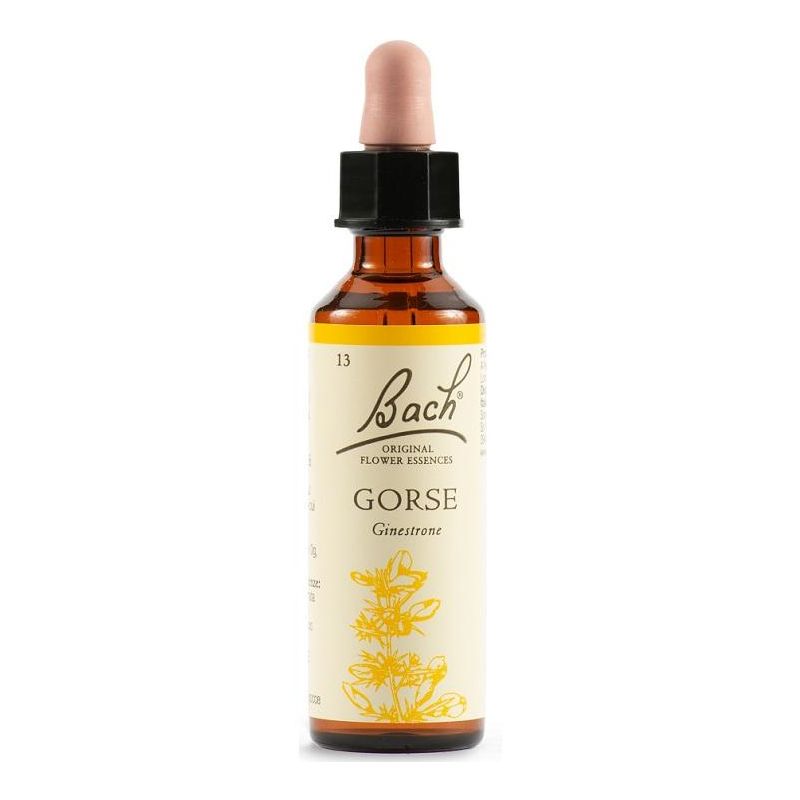 Bach Original Gorse Flower Essence, 20ml