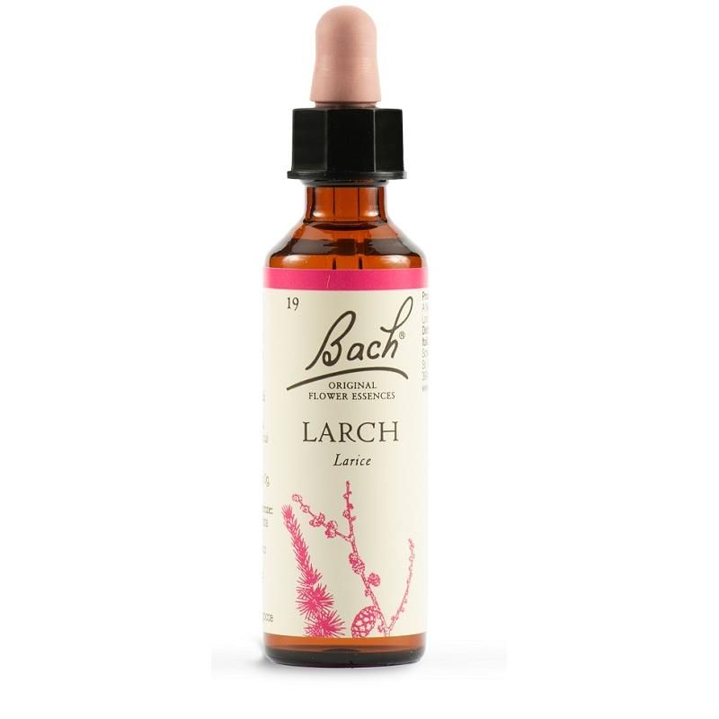 Bach Original Larch Flower Essence, 20ml