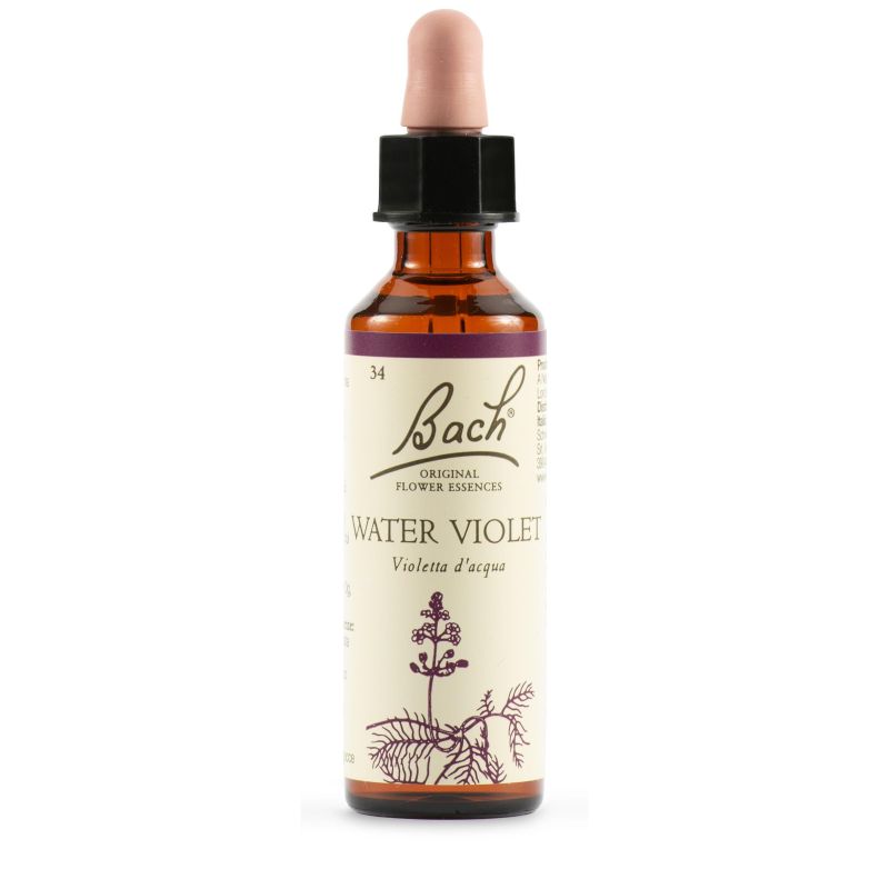 Bach Original Water Violet 20ml Essence