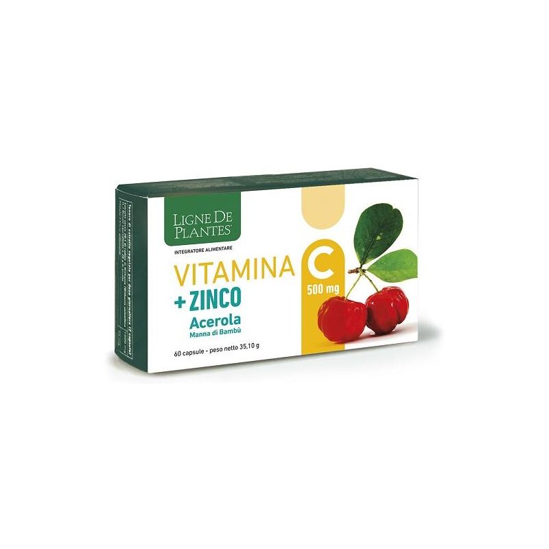 Vitamina C 500mg con Zinco, Acido Ascorbico e Biotina - 60 Capsule