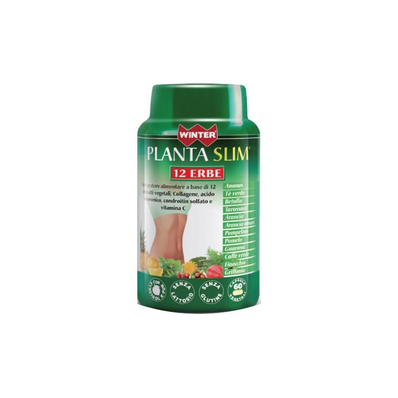 Planta Slim Winter Edition - 12 Herbs, 60 Capsule