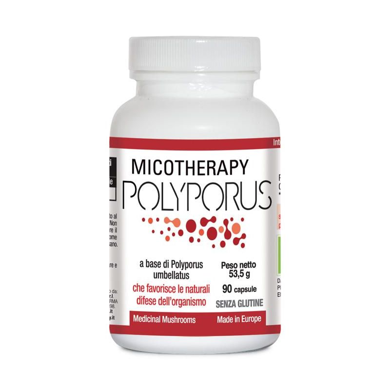 Polyporus Micotherapy 90 Capsule Supplement