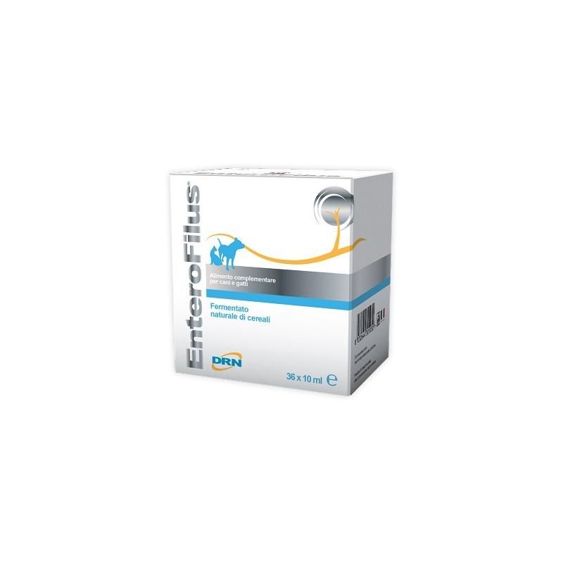 Fiale EnteroFillus - Mangime Complementare per Cani e Gatti