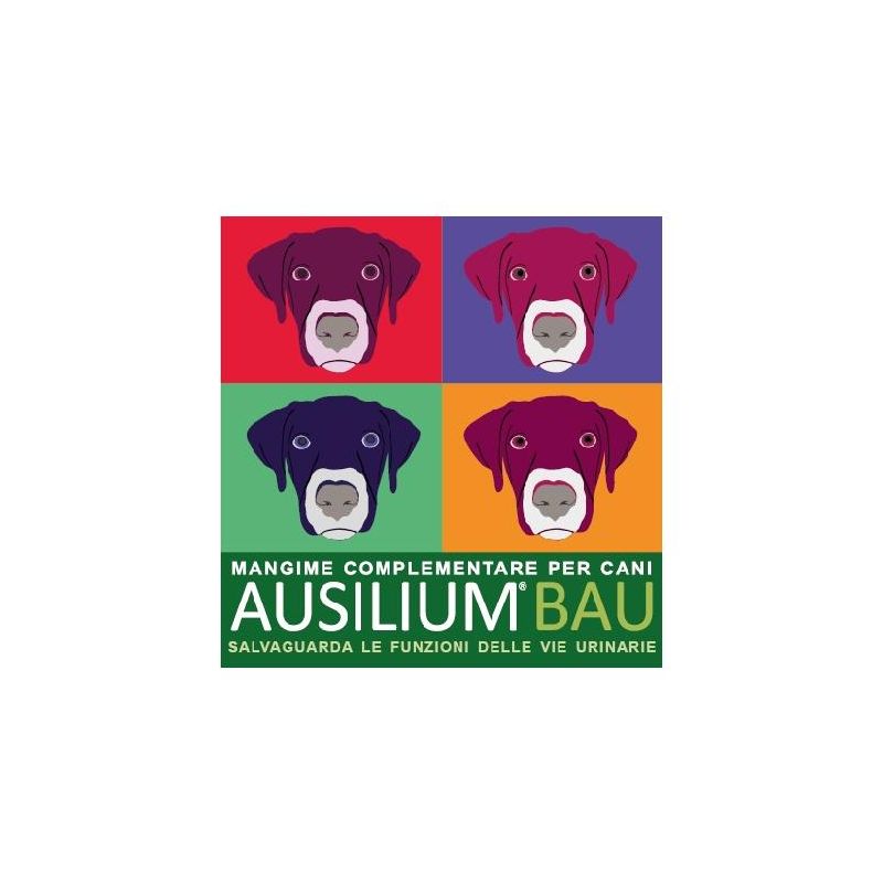Ausilium Bau: Mangime Complementare Anti-Cistite per Cani - 300g con Misurino Incluso