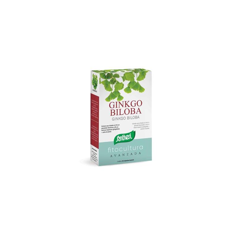 Ginkgo Biloba Supplemento Naturale - 40 Capsule