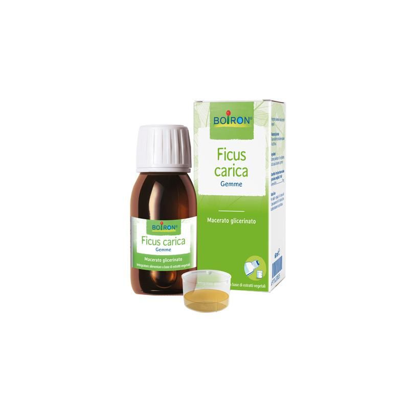 Macerato Glicerico di Ficus Carica - Flacone da 60ml