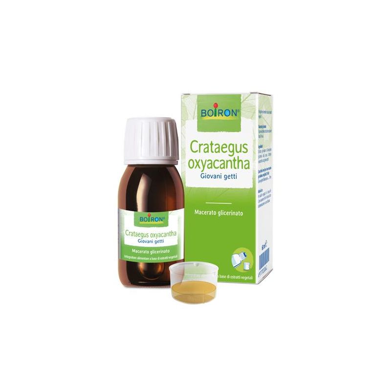 Crataegus Oxyacantha: Estratto Glicerico in Macerato da 60ml