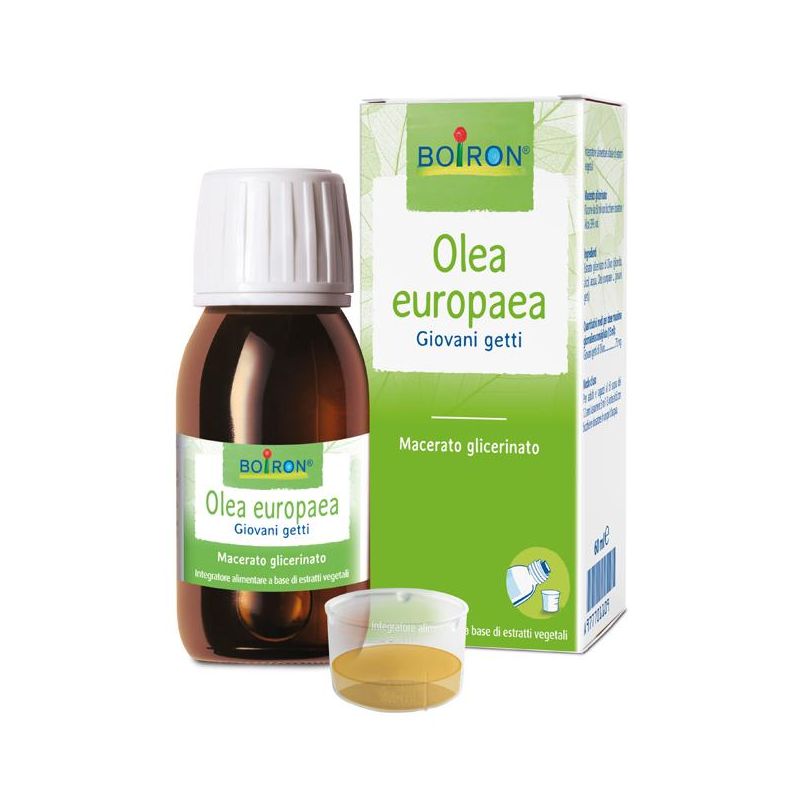 Macerato Glicerico di Olea Europaea, 60ml