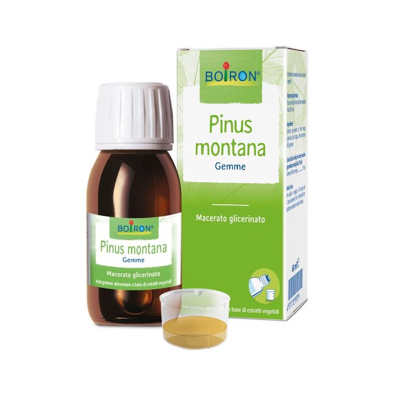 Pinus Montana Macerato Glicerico - Estratto Naturale 60ml