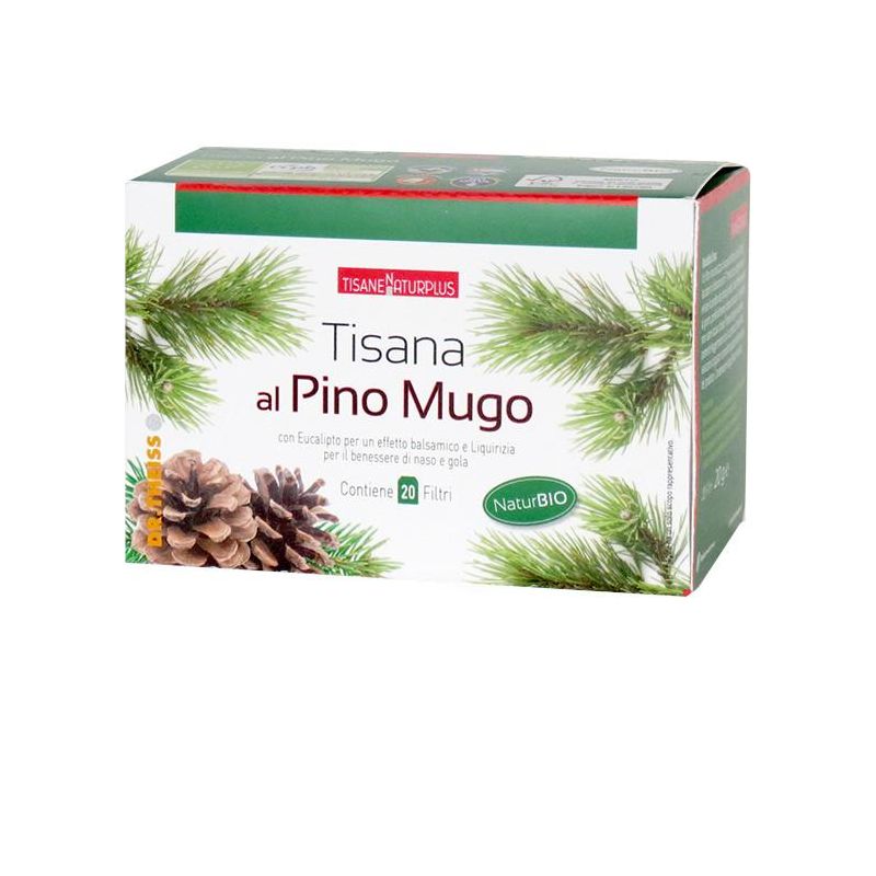Tisana di Pino Mugo Naturplus - 20 Filtri da 30g
