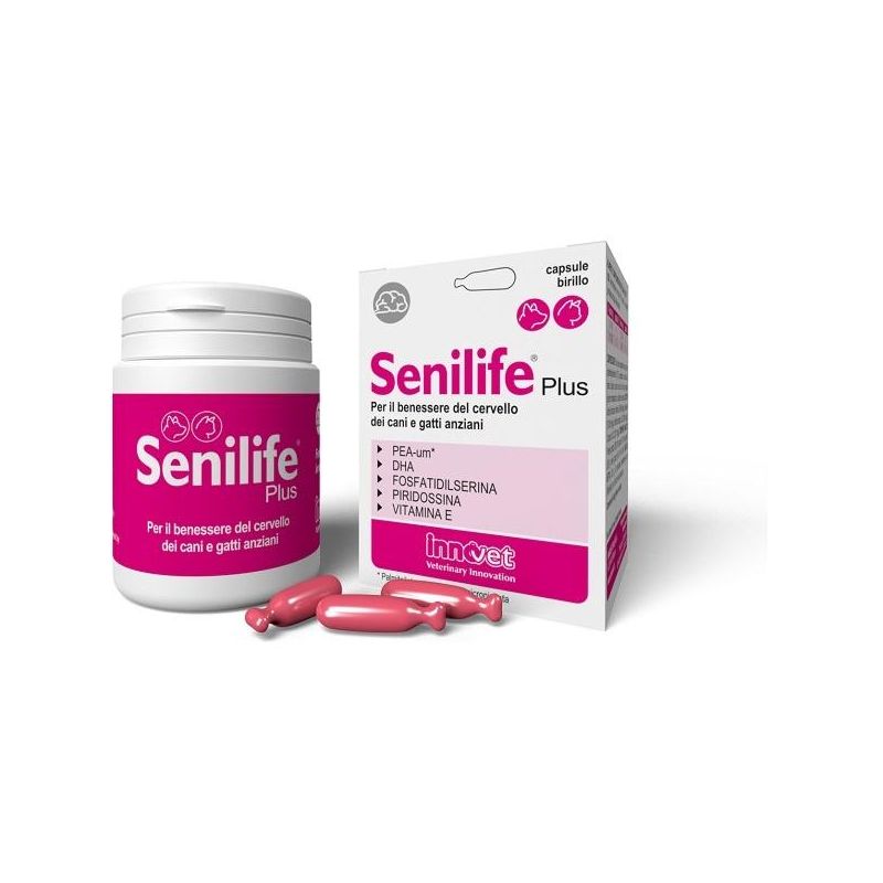 Senilife Plus Advanced Formula - 30 Capsule