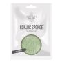 FDE Konjac Sponge Tè Verde