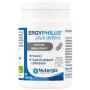 Ergyphilus Plus Defens 60 cps