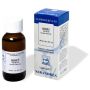 Ribes Nigrum 100ml MG