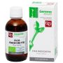 Fico Radichette MG 50ml Bio