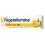 VEGETALLUMINA ARNICA GEL 90%