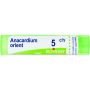 Boiron Anacardium Orientale 05Ch Granuli Omeopatici 4g
