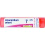 Granuli di Anacardium Orientale Boiron 07Ch - Tubo da 4g